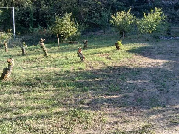 Terrain constructible