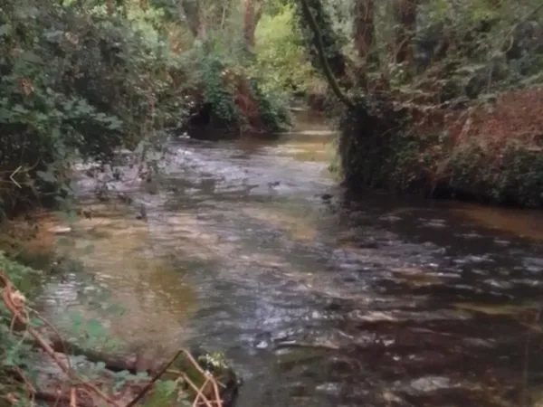 Terrain de villégiature viabilisé, non constructible