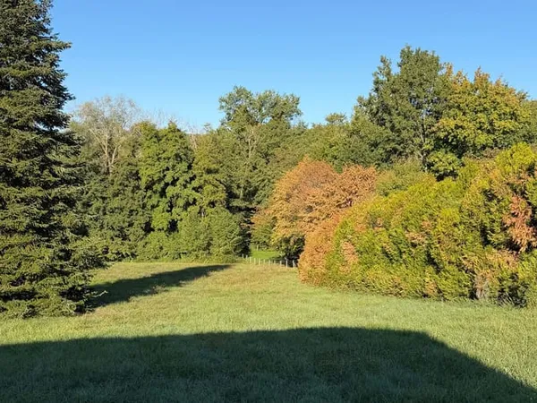 Terrain 3200 m²