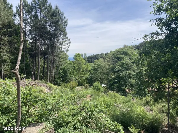Terrain 1500 m² Mercuer