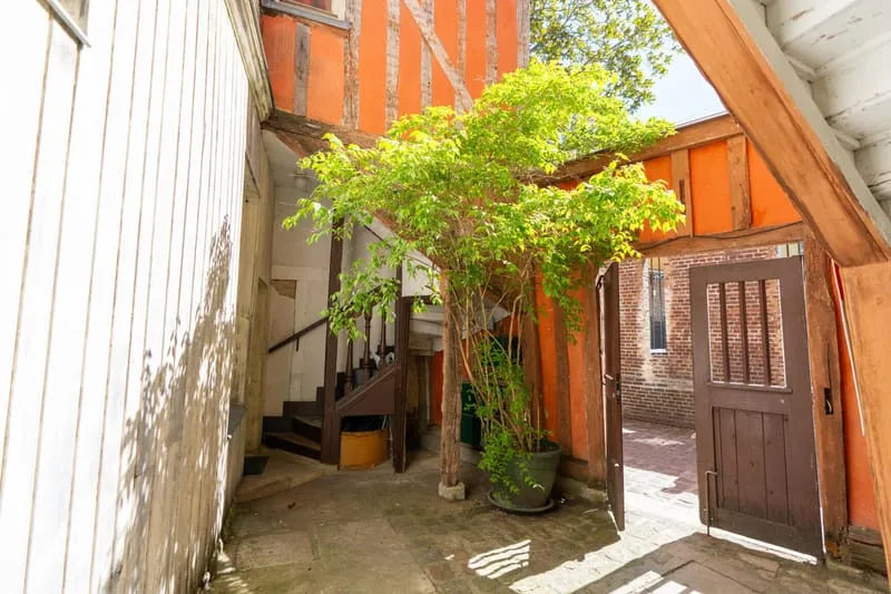 Photo 5