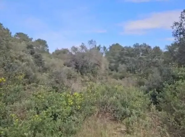 Terrain en individuel 12000 m²