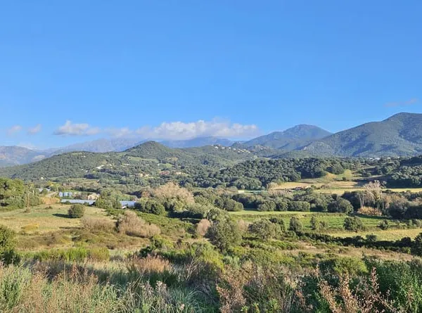 PROCHE AJACCIO Bastelicaccia Terrain viabilisé