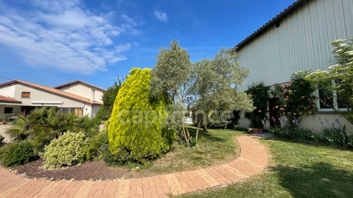 Photo 5