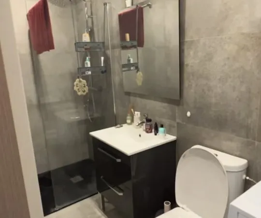 Loue appartement 34m² Lille - Meublé confortable à 5mn à pieds de Skema et gare Lille Europe et Flan