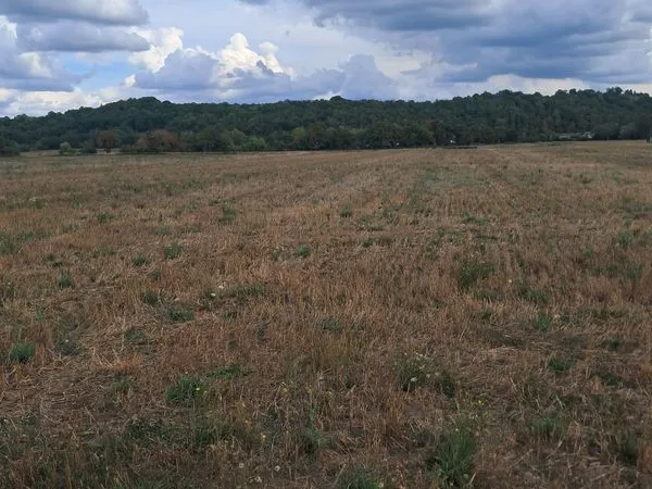 Terrains agricoles