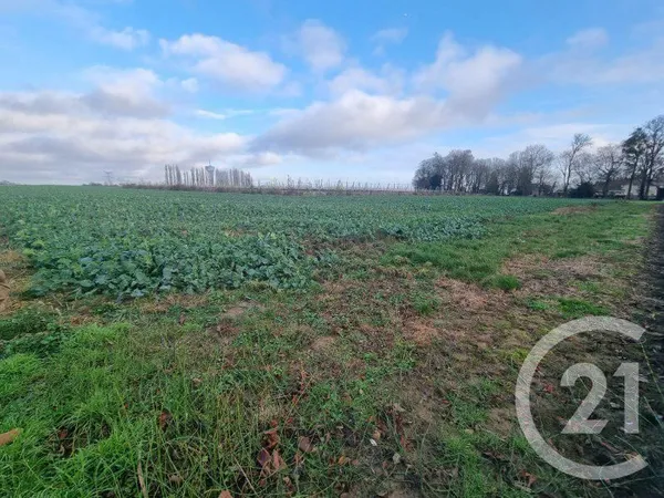 Terrain 1380 m²
