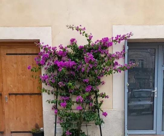 A LOUER STUDIO MEUBLE VILLENEUVE LES MAGUELONE