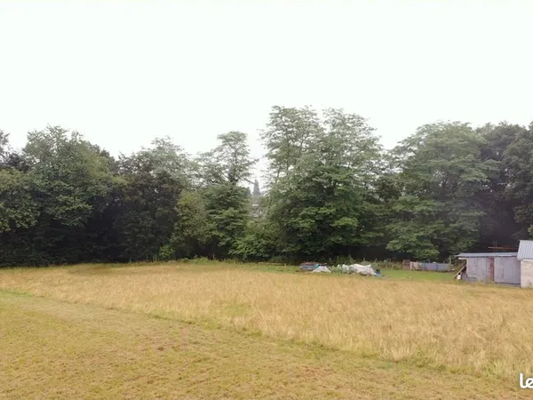 Terrain constructible