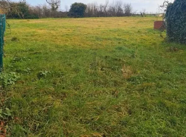 Terrain 1478 m²