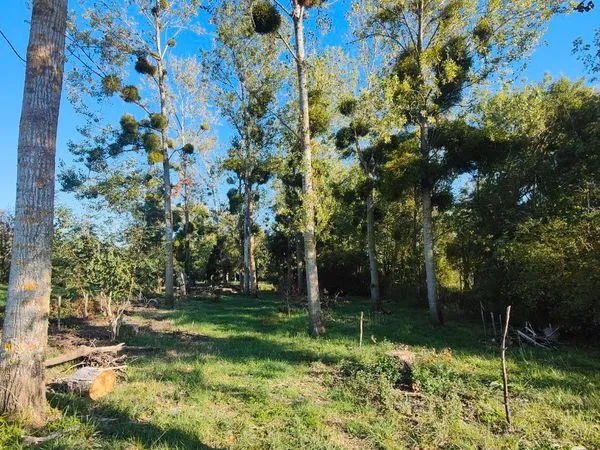 Terrain de 970 m² au bord du Loir — Idéal famille, kayak & pêche