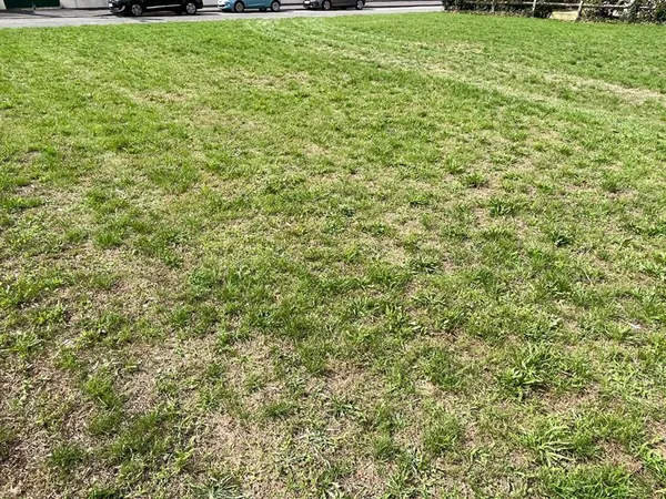 Terrain Nogent-sur-vernisson 450 m2