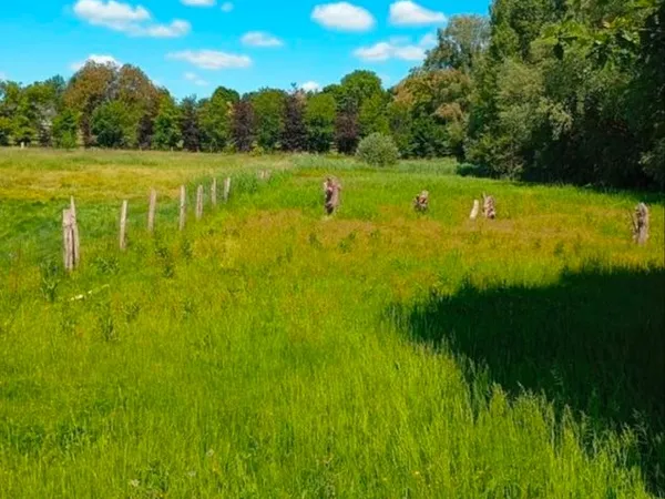 Terrain agricole