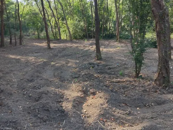 Terrain agricole
