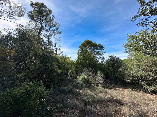 Terrain 3,5 hectares