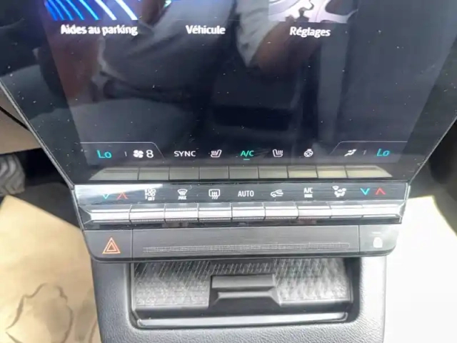 Renault Megane e-tech ev40 130ch standard charge — photo 41