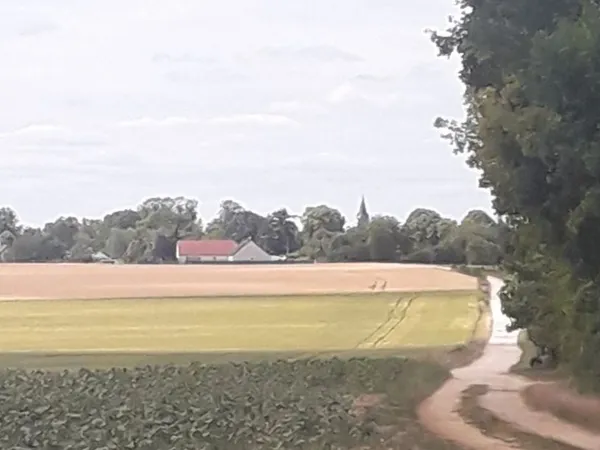 Terrain à bâtir à vendre à Soye-en-Septaine 18340