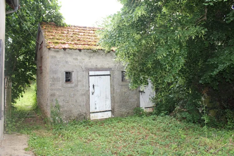 Photo 15