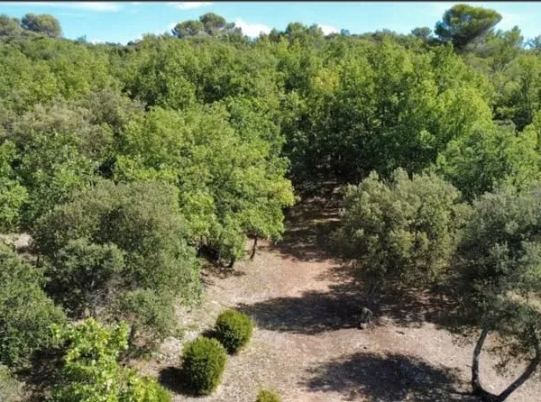 Terrain 8300 m²