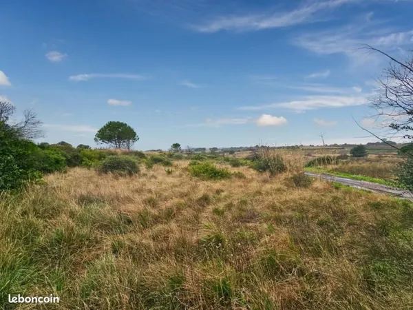 Terrain agricole 1 388 m² Loupian