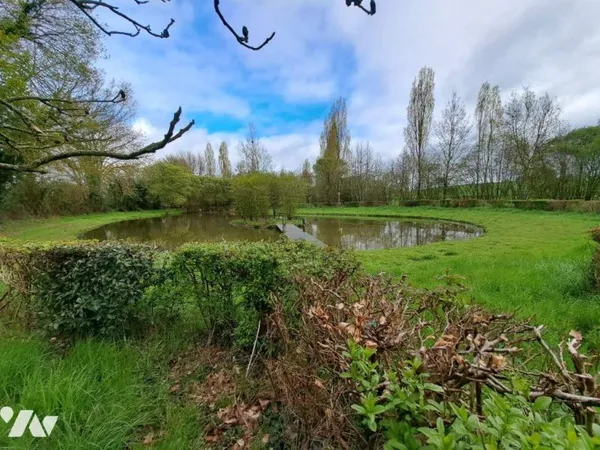 Terrain 10000 m²