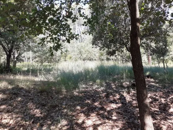 Terrain 6690 m²
