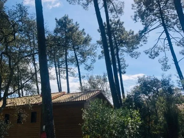 Vente Gîte 3 pièces