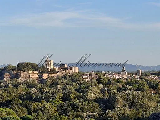 Propriété 355 m²