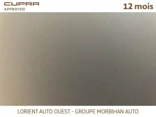 Cupra Formentor 1.4 e-hybrid 245 ch dsg6 — photo 17