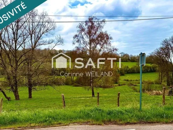 Beau terrain à bâtir avec façade de 24 m - Plus de 14 ares constructibles. Arrière donnant sur la fo
