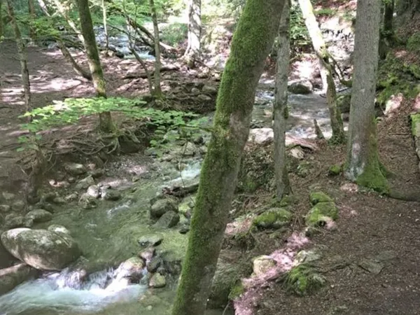 Terrain de loisir bordé par un ruisseau