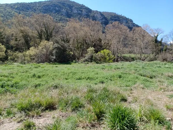 Très beau terrain à bâtir 618m2, Pyrénées Orientales