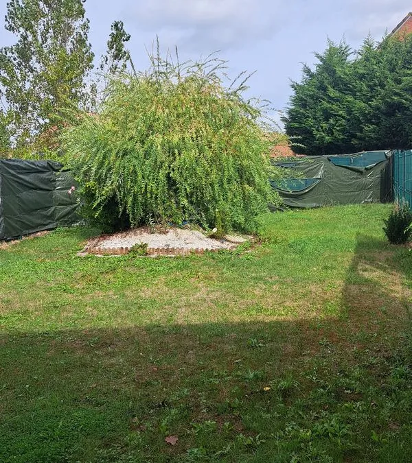 Photo 3