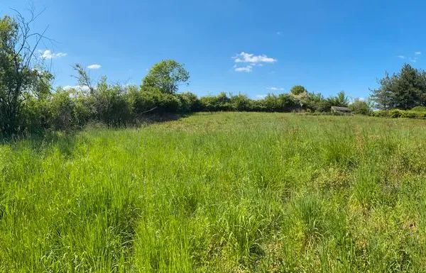 Terrain de 2430 m2 - accès voiture