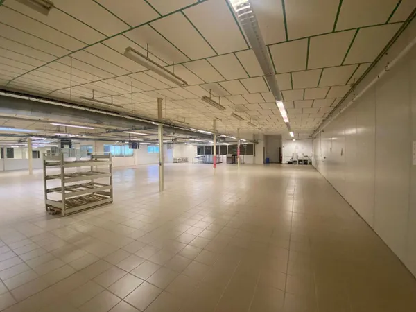 Local d'activité 1990 m²