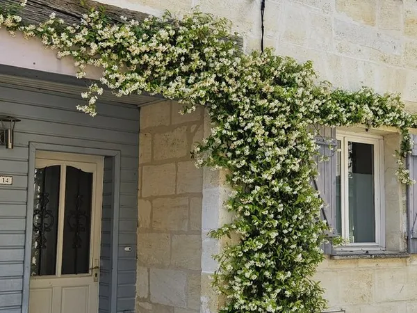 Maison 4 chambres coeur de Bastide de Créon