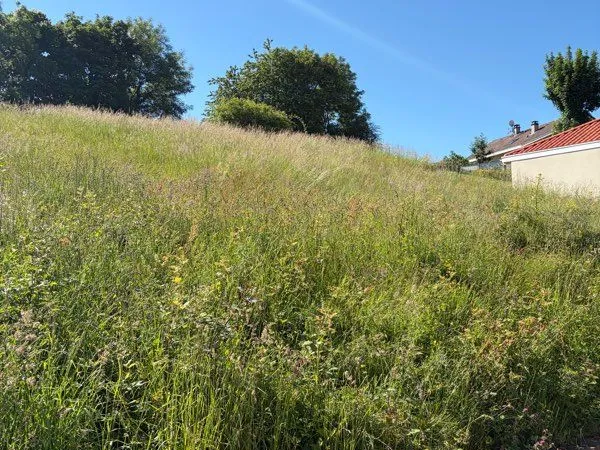 🏡 TERRAIN À BÂTIR À CHARNÈCLES - 883 m² - 55 000 🌿