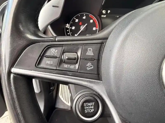 Alfa Romeo Stelvio 2.2 diesel 210ch lusso q4 at8 — photo 15