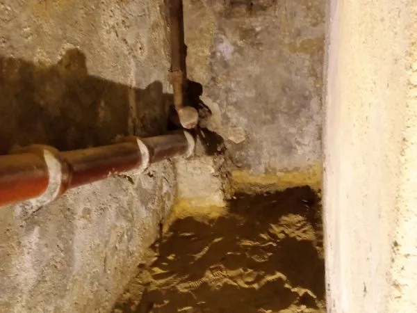 Cave à louer