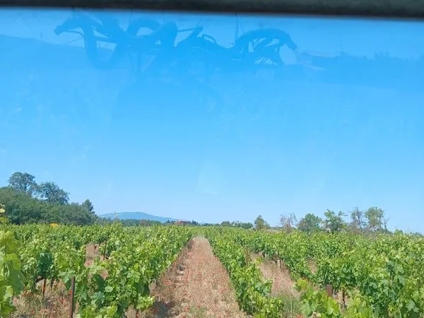 Terres agricoles