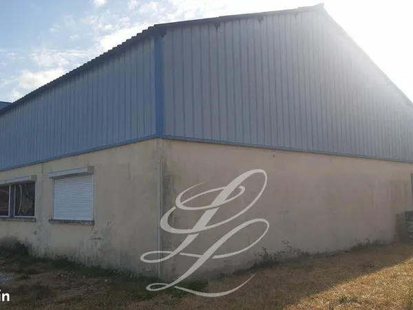 LOCAL D'ACTIVITE 250 m² TOURS