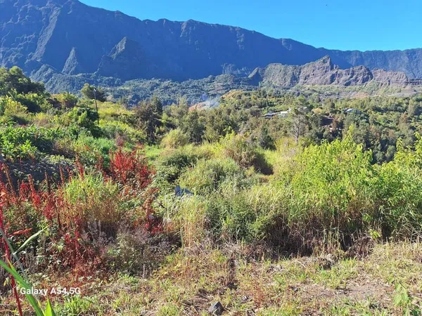 Terrain constructible 1950 m²