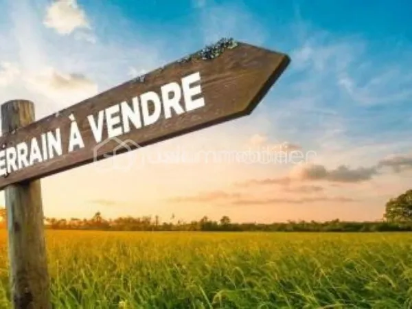 Terrain 564 m²