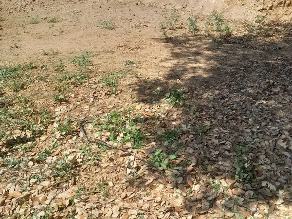 Vente terrain constructible