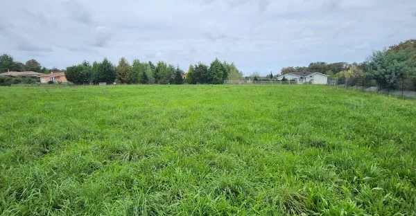 Terrain 2929 m²