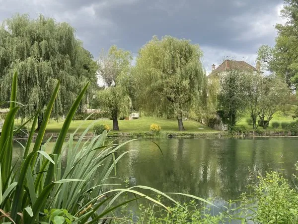 Loue terrain 980m² Grez-sur-Loing