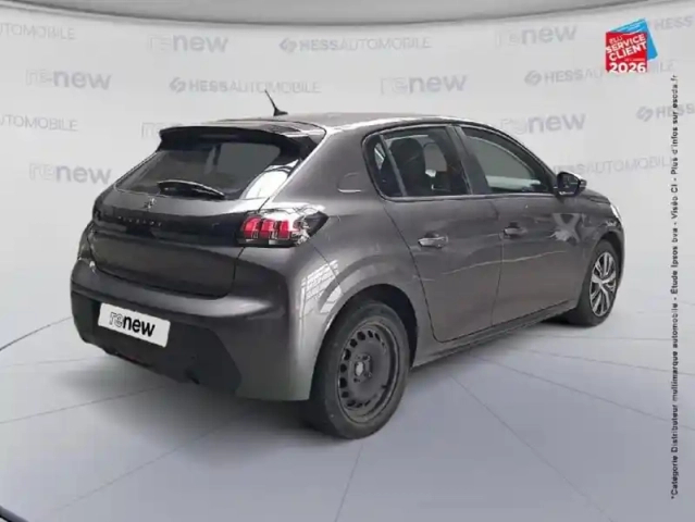Peugeot 208 1.5 bluehdi 100ch s&amp;s active — photo 6