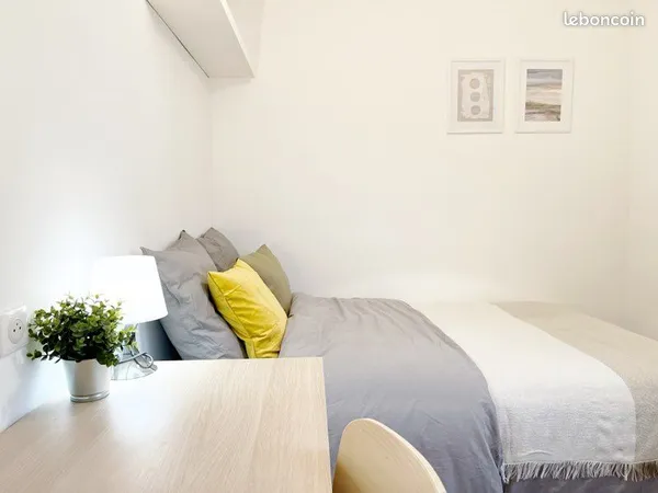 Chambre 10m² dans coloc tout compris — Nancy Hyper Centre — Rue Stanislas