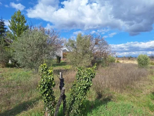 Terrain 1233 m²
