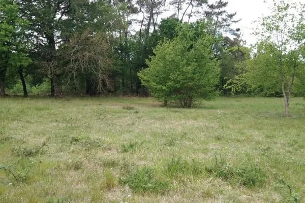 Terrain 1600 m²